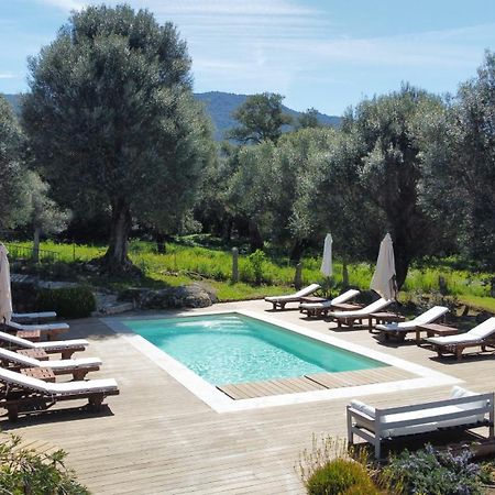 Domaine De Tappa - Casa Filicina Villa Sollacaro Eksteriør bilde
