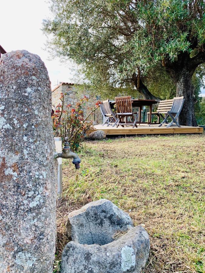Domaine De Tappa - Casa Filicina Villa Sollacaro Eksteriør bilde