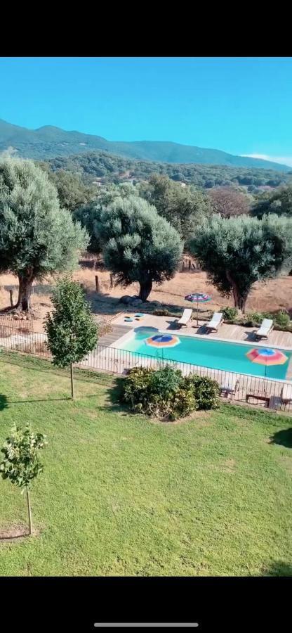 Domaine De Tappa - Casa Filicina Villa Sollacaro Eksteriør bilde