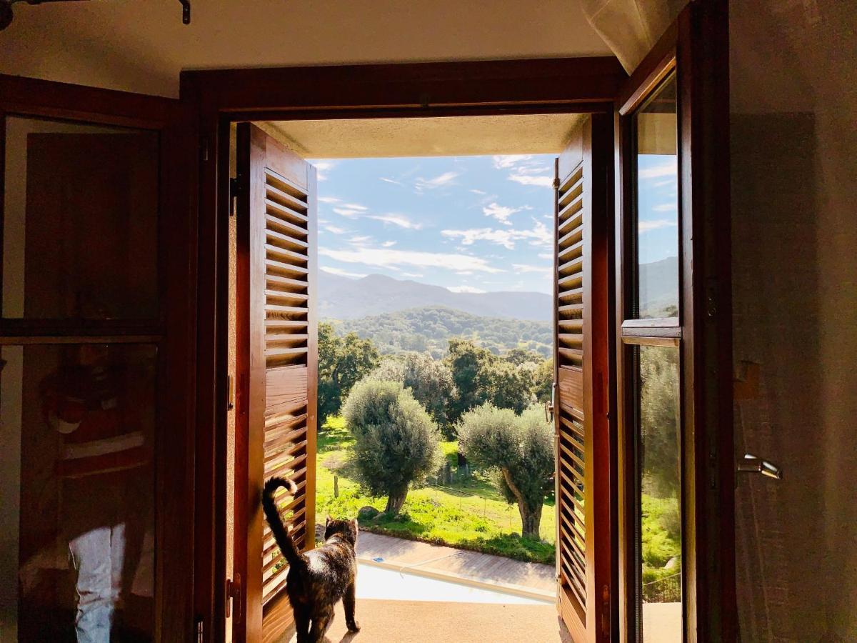 Domaine De Tappa - Casa Filicina Villa Sollacaro Eksteriør bilde
