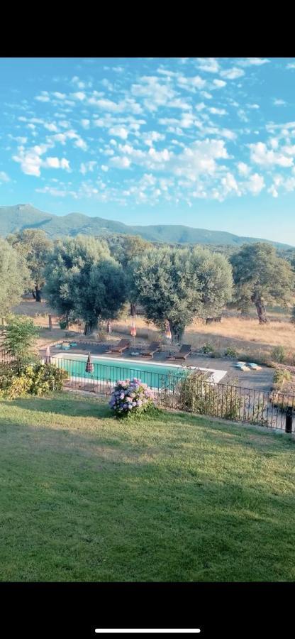 Domaine De Tappa - Casa Filicina Villa Sollacaro Eksteriør bilde