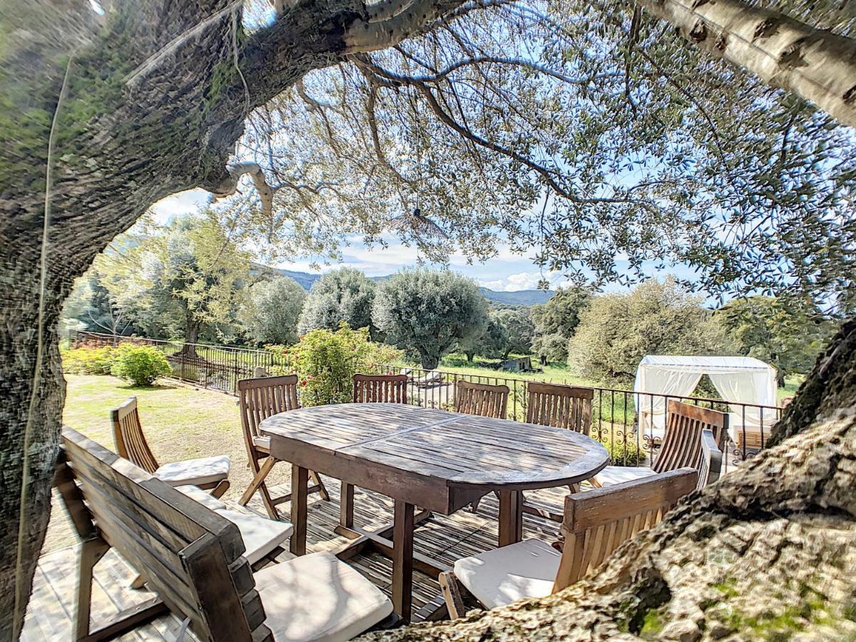 Domaine De Tappa - Casa Filicina Villa Sollacaro Eksteriør bilde