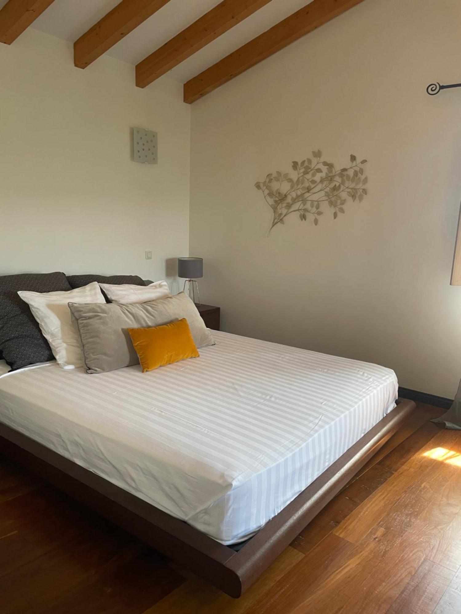 Domaine De Tappa - Casa Filicina Villa Sollacaro Eksteriør bilde
