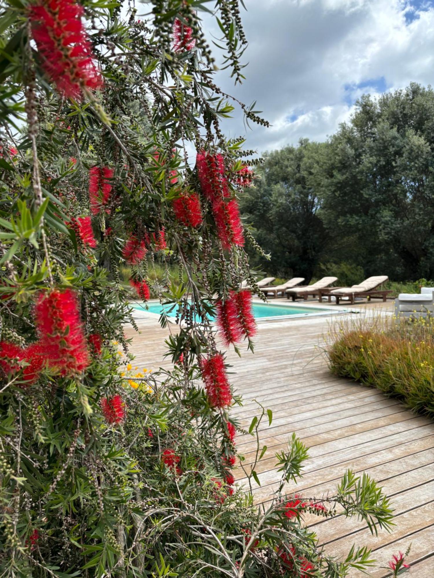 Domaine De Tappa - Casa Filicina Villa Sollacaro Eksteriør bilde