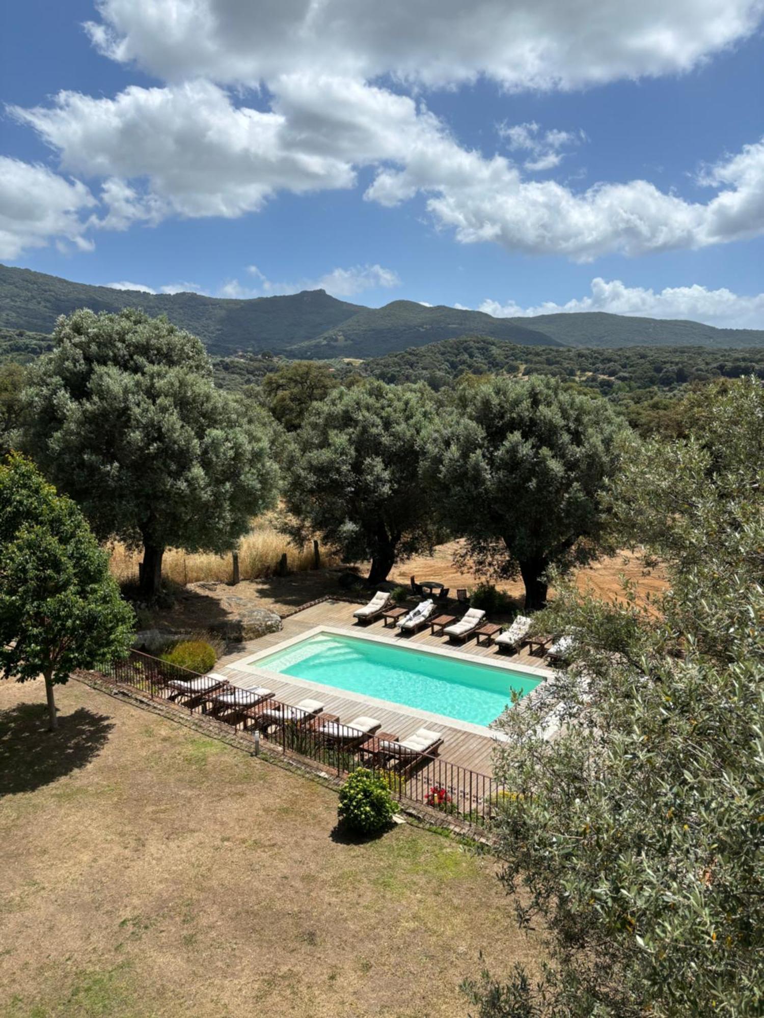 Domaine De Tappa - Casa Filicina Villa Sollacaro Eksteriør bilde