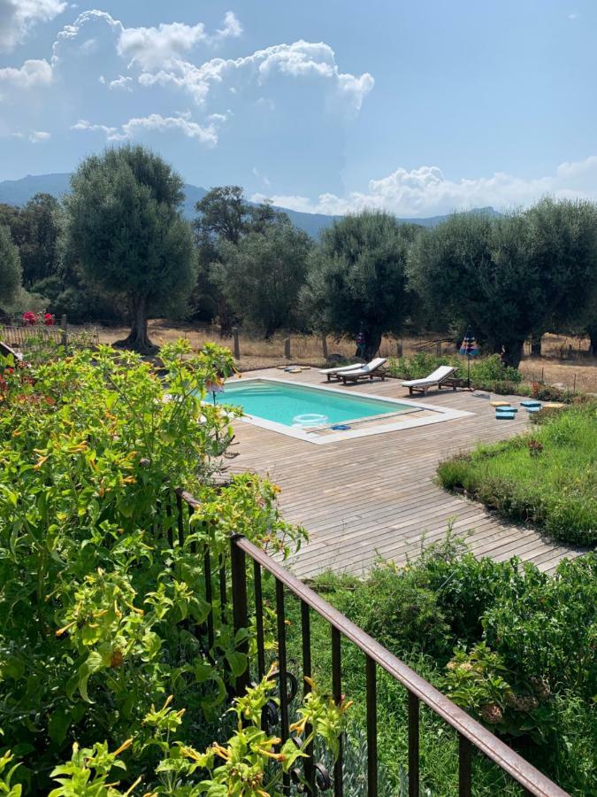 Domaine De Tappa - Casa Filicina Villa Sollacaro Eksteriør bilde