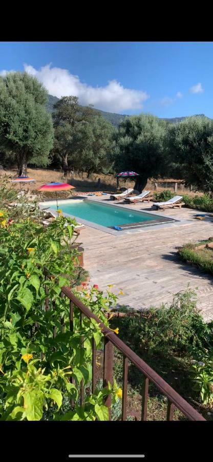 Domaine De Tappa - Casa Filicina Villa Sollacaro Eksteriør bilde