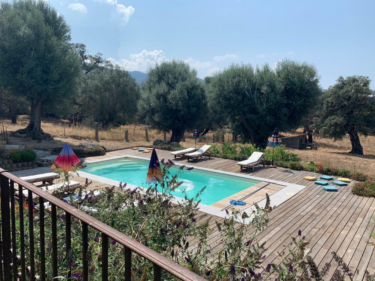 Domaine De Tappa - Casa Filicina Villa Sollacaro Eksteriør bilde